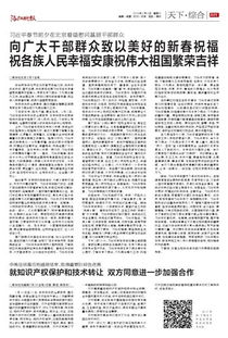 深化知識(shí)產(chǎn)權(quán)保護(hù)與技術(shù)轉(zhuǎn)讓合作，共筑創(chuàng)新發(fā)展新格局